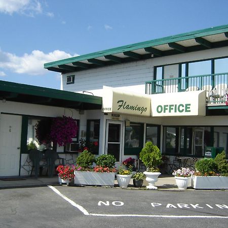 פנטיקטון Flamingo Motel מראה חיצוני תמונה
