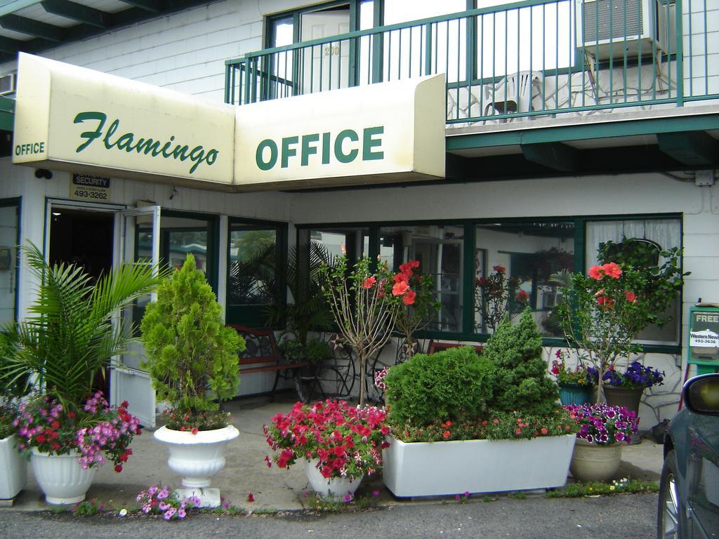 פנטיקטון Flamingo Motel מראה חיצוני תמונה