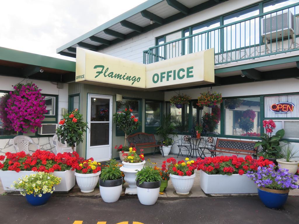 פנטיקטון Flamingo Motel מראה חיצוני תמונה