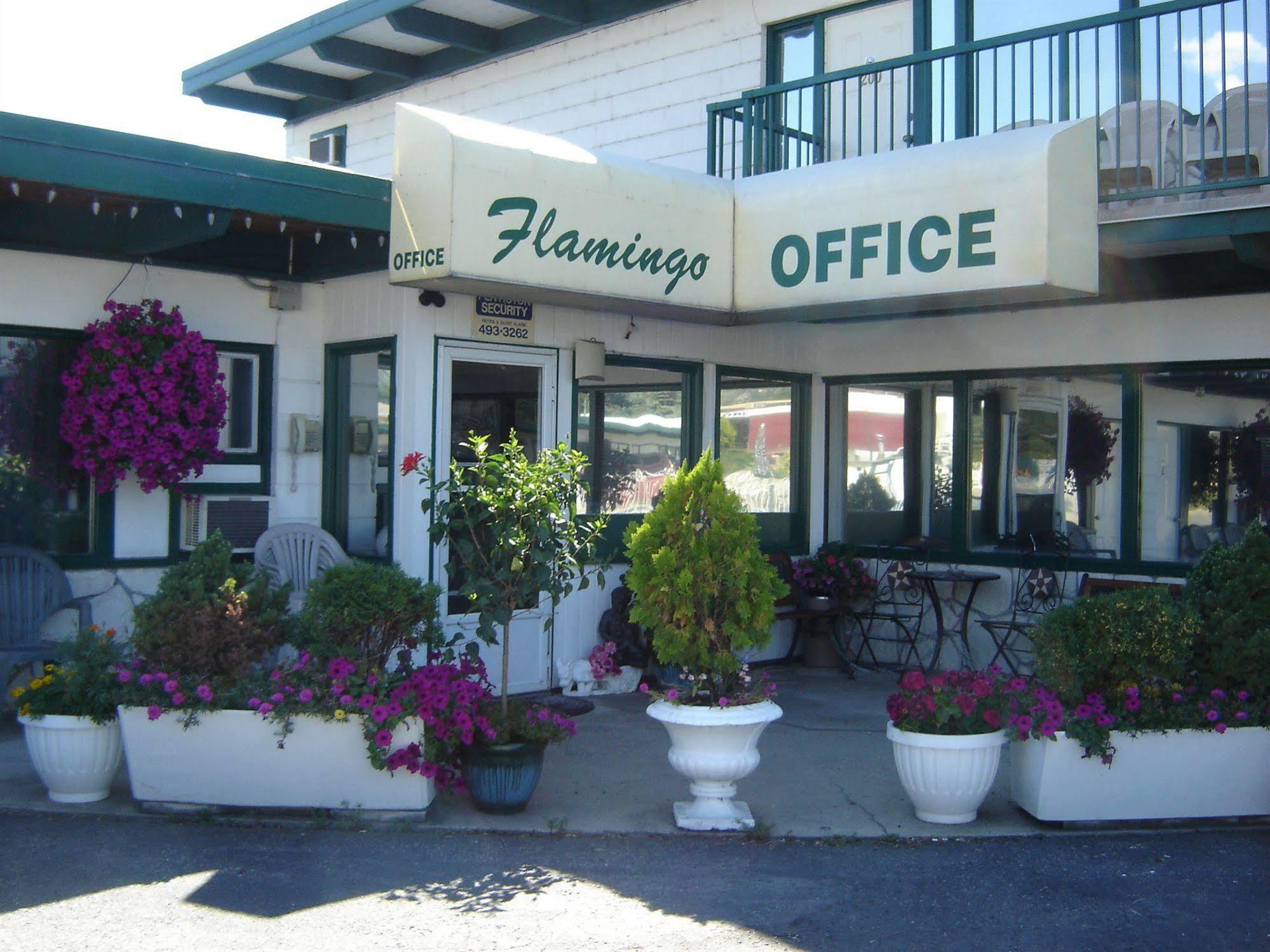 פנטיקטון Flamingo Motel מראה חיצוני תמונה